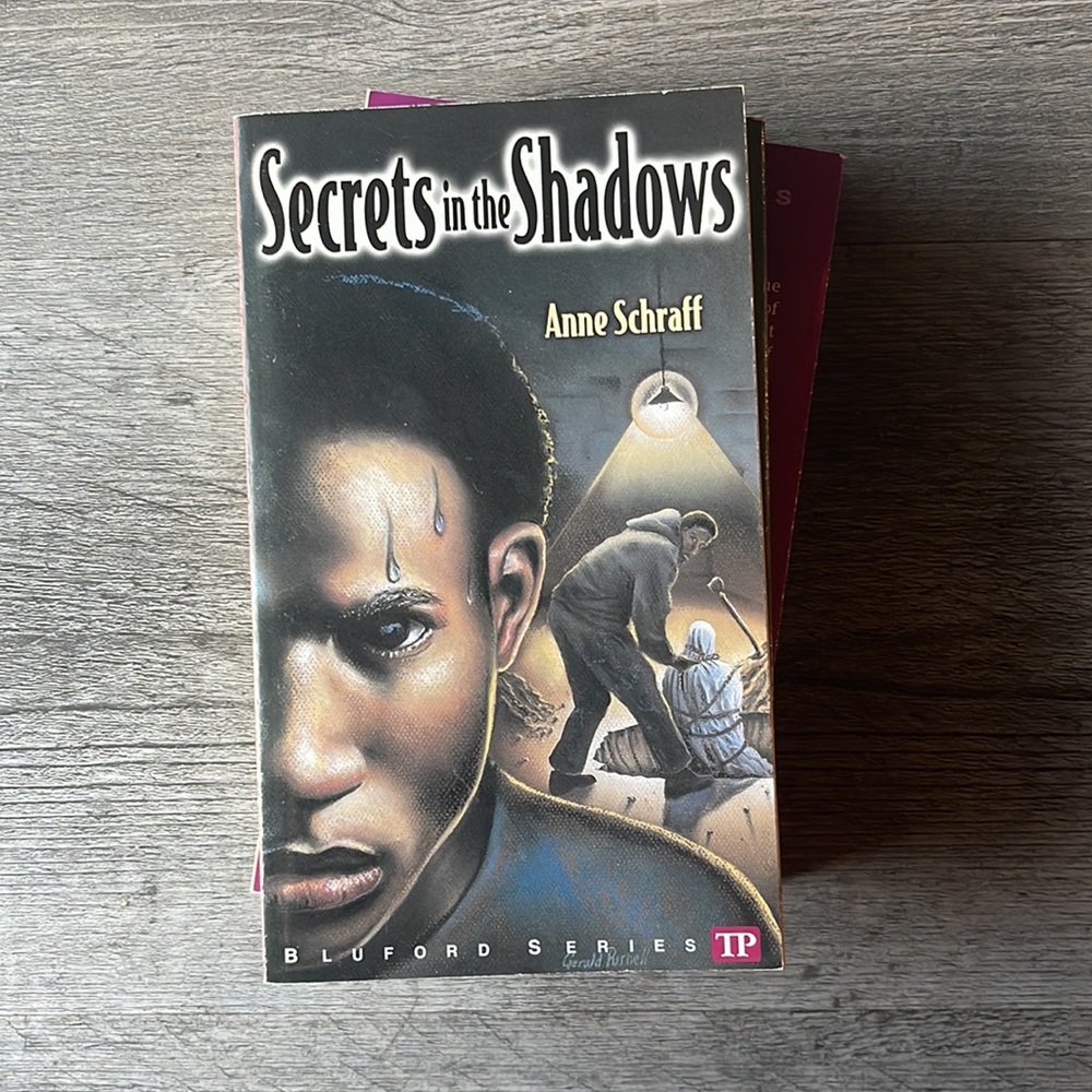 Bluford Series Bundle - Picture 9 of 10